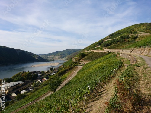 Rheingau