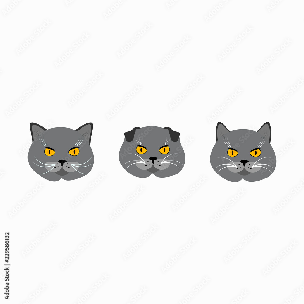 Collection of british cats illustrations, icons, avatars set. Flat design. Isolated vector illustration.