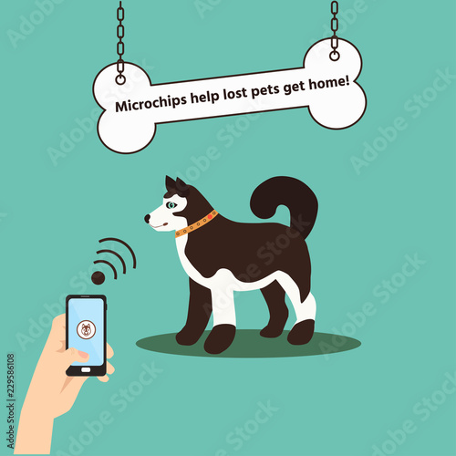 Icon dogs with microchip. Vector cartoon illustration. Domestic animals treatment concept. Veterinary professional consultation.