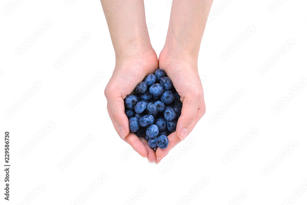 Bluepberry kept in hands isolated on white background. Top view. Bluepberry kept in hands isolated on white background. Top view.