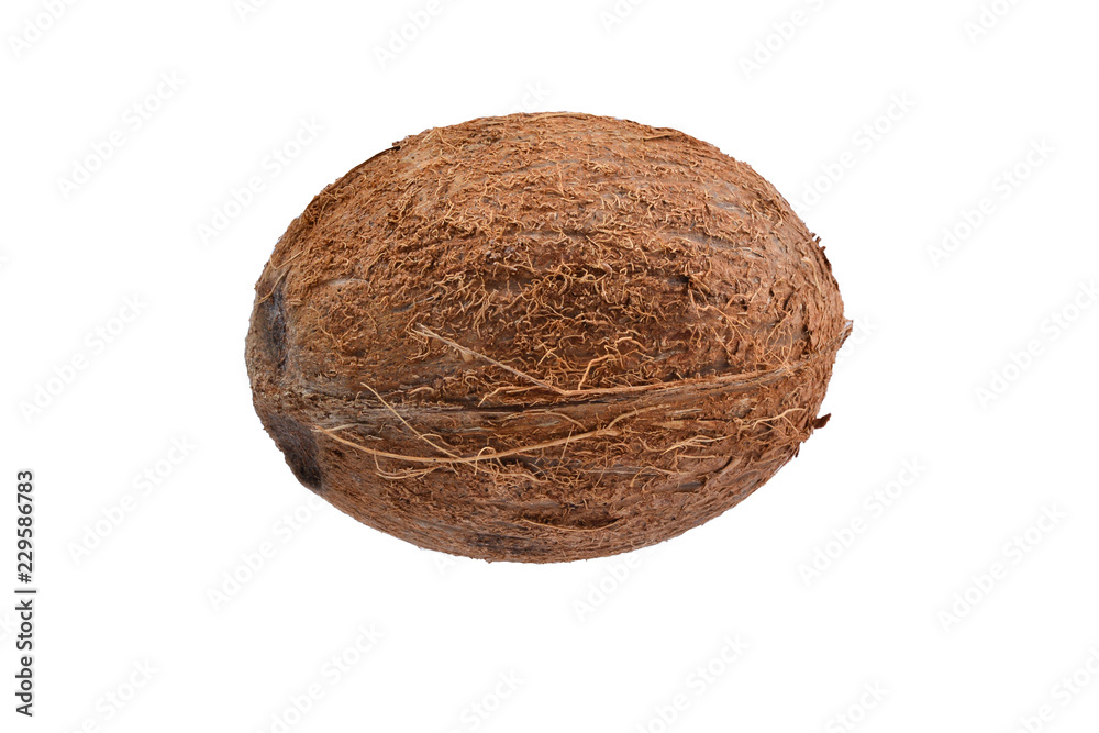 Coconut isolated on white background. Coconut isolated on white background.