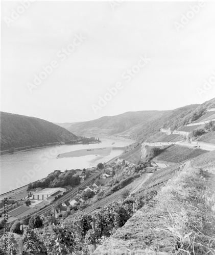 Rheingau sw