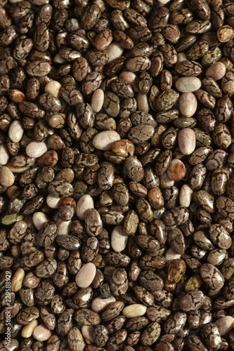 Chia Samen Makro dunkler