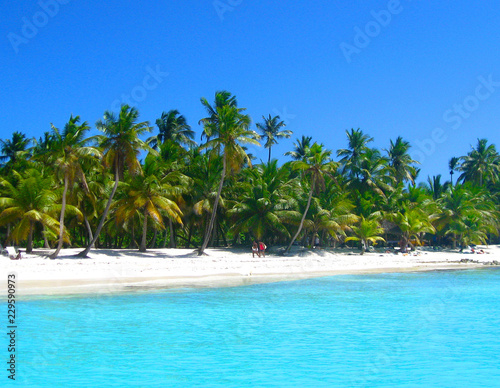 Tropical beach in caribbean sea  Saona island  Dominican Republic
