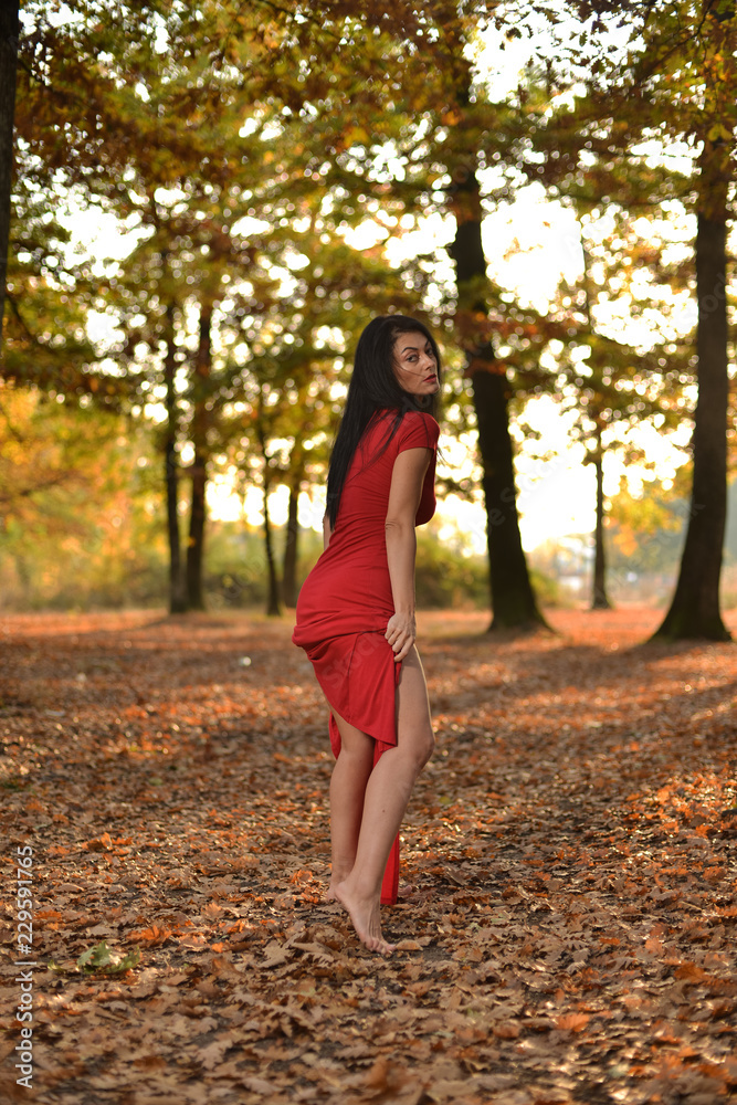 Young woman wearing a long red dress posing on a an autumn day in the woods. Young woman wearing a long red dress posing on a an autumn day in the woods.