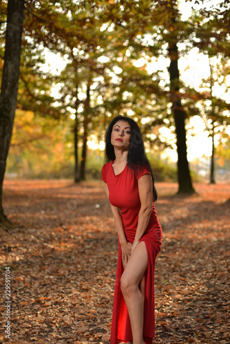 Young woman wearing a long red dress posing on a an autumn day in the woods. © xpabli