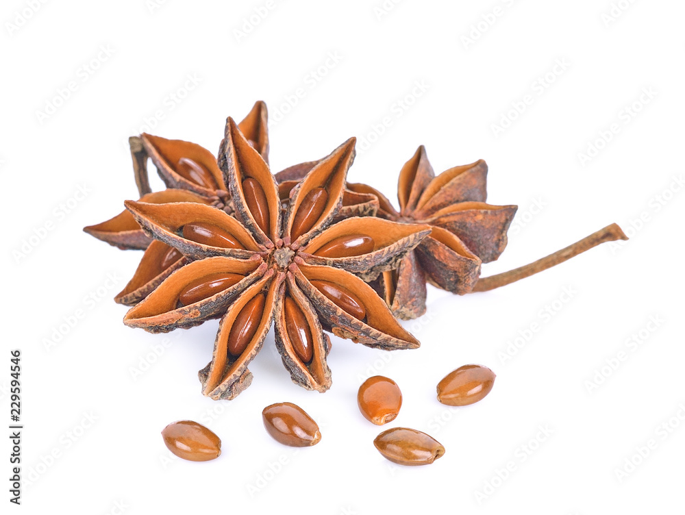 Star anise spice fruits and seeds isolated on white background