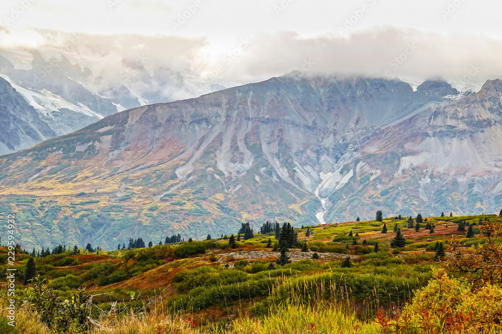 Naklejka premium Landscape in fall at Haines Highway, Yukon, Canada