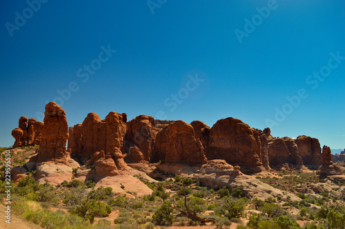 Beautiful nature including rocks,trees and sky in the Arches national park
