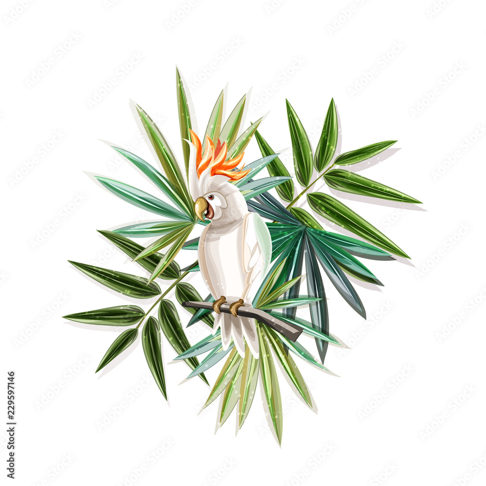 Fototapeta premium Тropical plants with cockatoo. 
