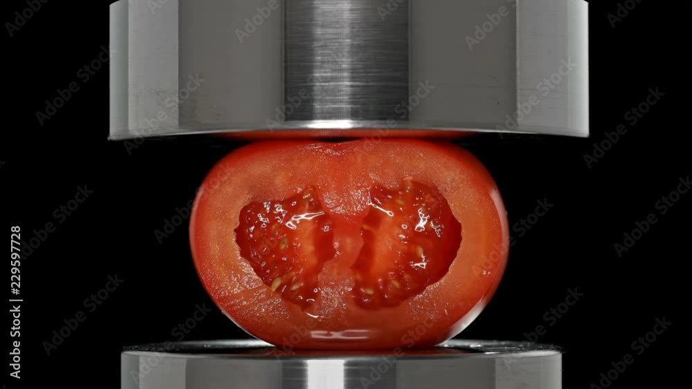 tomato sectioned under a hydraulic press, close-up