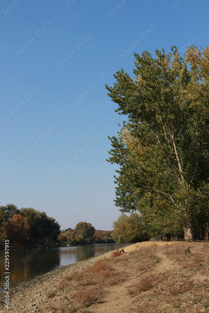 Autumn landscape by the river on a sunny day Autumn landscape by the river on a sunny day