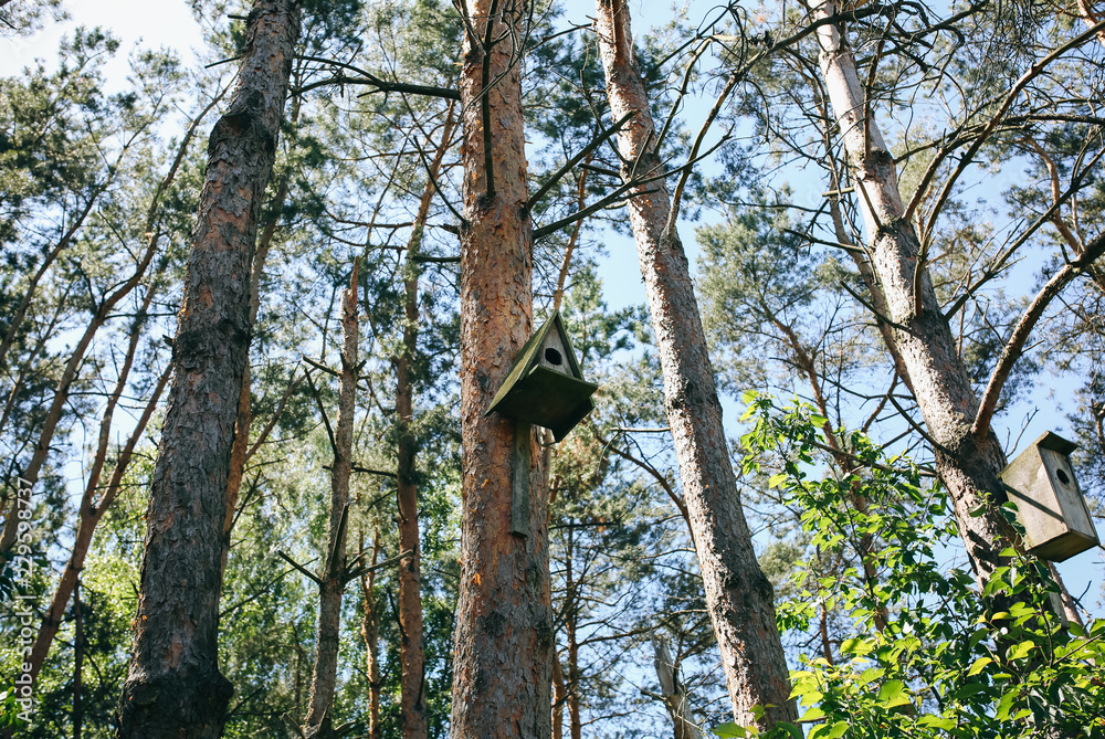 Nesting boxes hanging outdoors in the forest. Handmade wooden bird houses on the trees. Environmental protection and care concept. Nesting boxes hanging outdoors in the forest. Handmade wooden bird houses on the trees. Environmental protection and care concept.