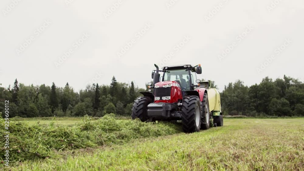 Red tractor with harvester carriage riding over pile of cutted grass in field on summer cloudy day Red tractor with harvester carriage riding over pile of cutted grass in field on summer cloudy day