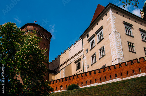 View to Wawel castle in Krakow