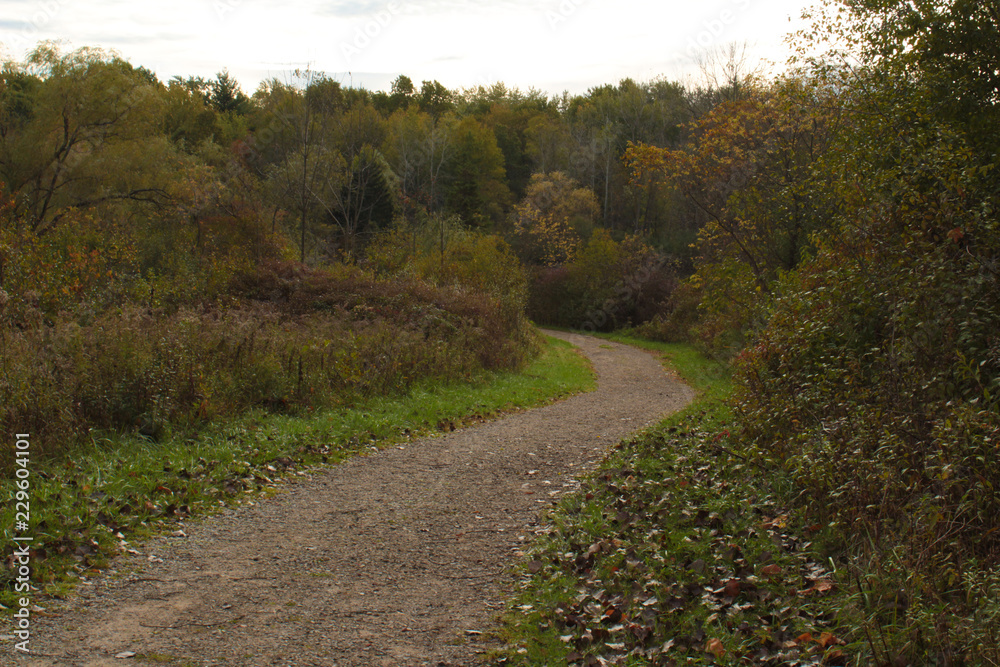 Winding Gravel Trail Through Green Autumn Prairie Leading to Red and Gold Forest