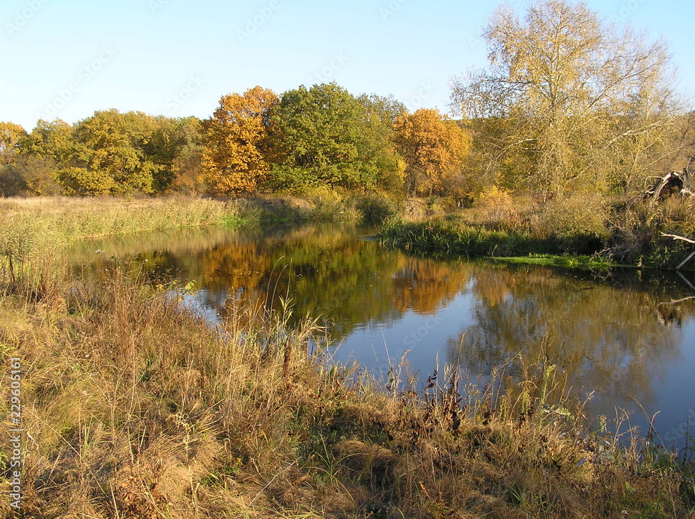 autumn autumn