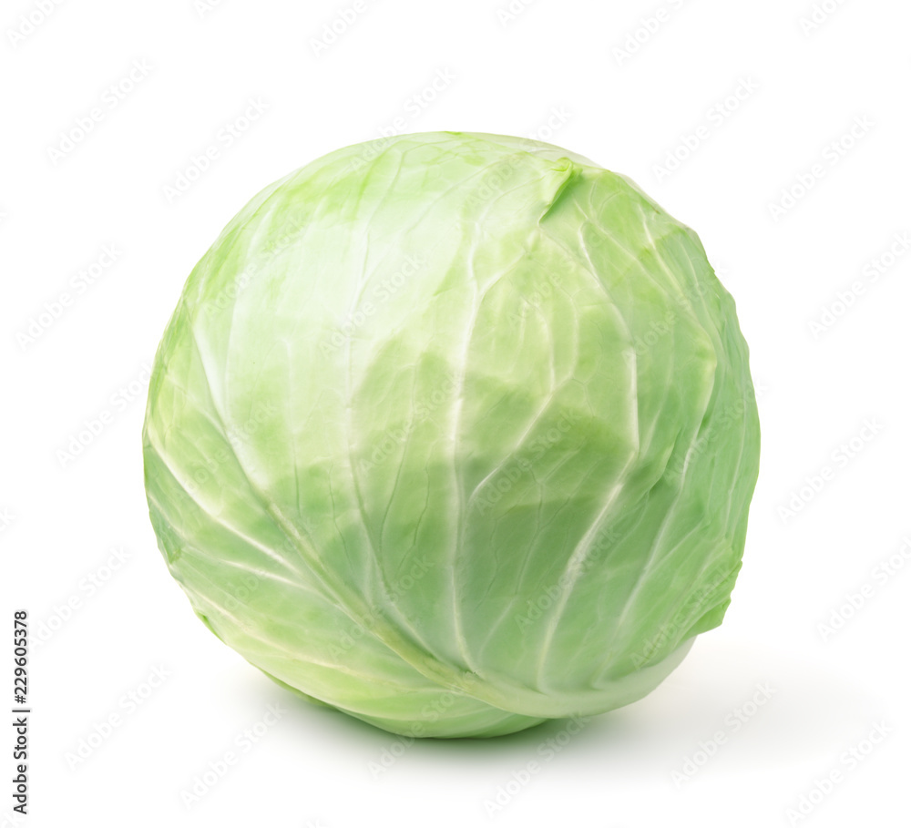 White fresh cabbage head White fresh cabbage head