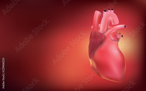 Human heart show powder is a 3D image.