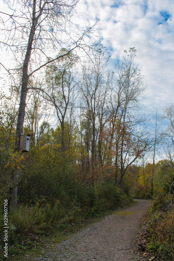 Fototapeta premium Rustic Wooden Birdhouse Along a Gravel Hiking Trail in a Green and Yellow Autumn Woods Under Cloudy Blue Sky