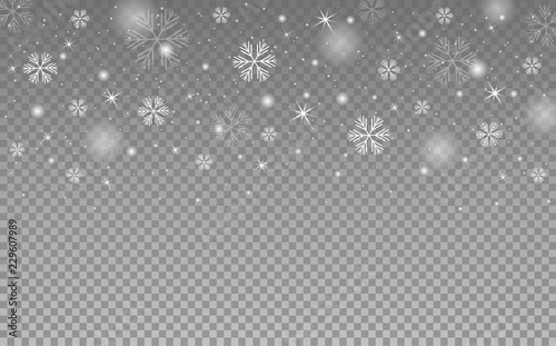 Snowflakes on transparent background. Falling snow. Vector illustration.