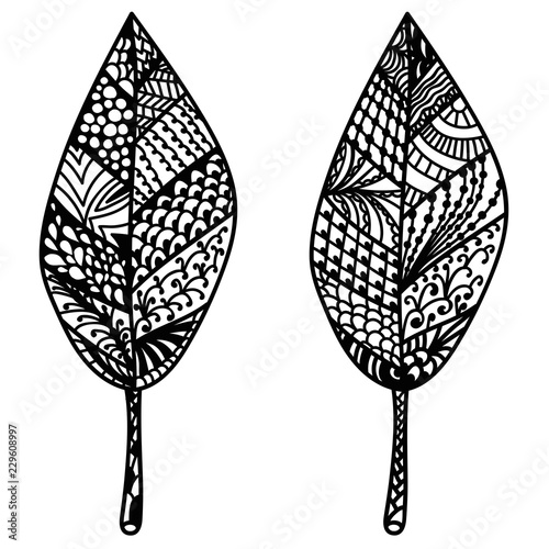 Doodle leaves isolated on white background. Vector illustration.