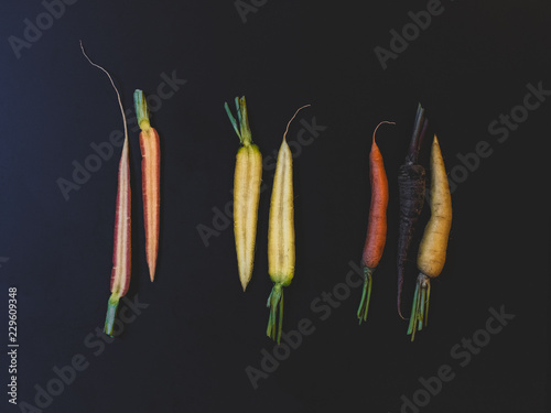 Carrots multi colored
