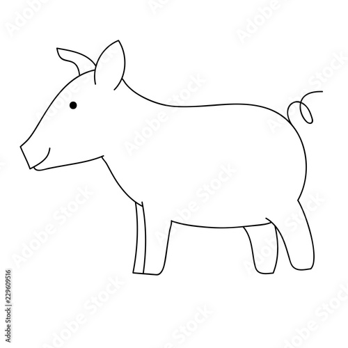 Sign pig. Isolated black silhouette pig on white background.