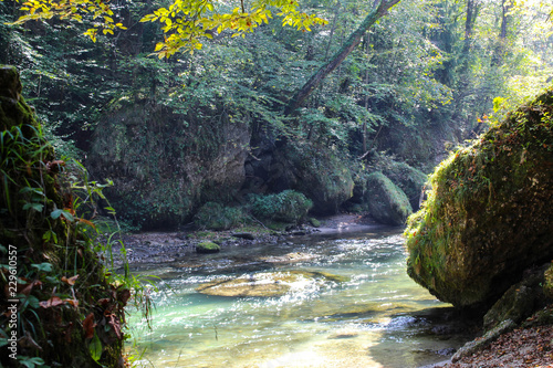 Fluss Erlauf in der Erlauftalschlucht in Niederösterreich, Purgstall, Österreich photo