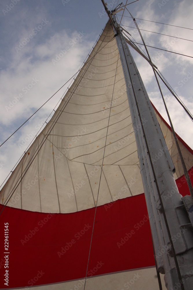 Fototapeta premium white sail against the sky