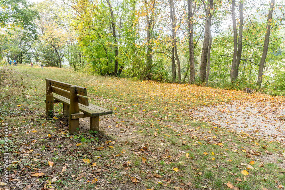 bench at the park isolated on a bad autumn day