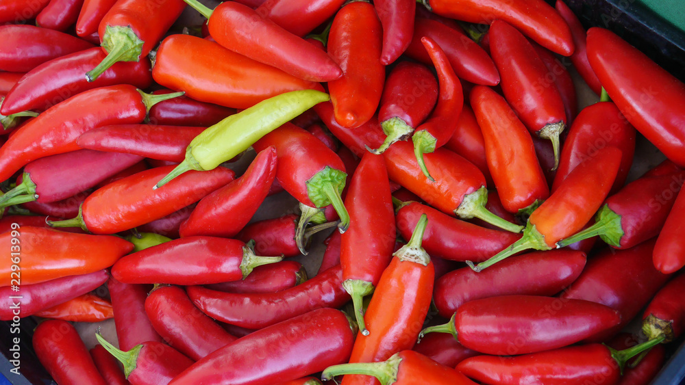 Organic red chilli peppers background. Fresh and organic herb ingredient for sale in Farmers Market.
