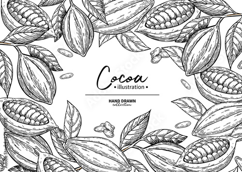 Cocoa frame. Vector superfood drawing template.  Fruit, leaf and