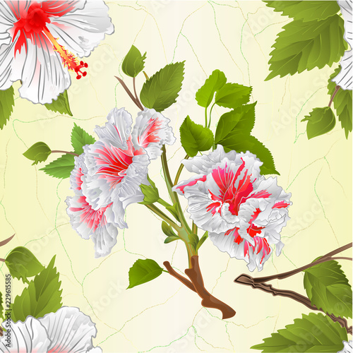 Seamless texture stems white hibiscus tropical flowers natural background vintage vector illustration editable hand draw