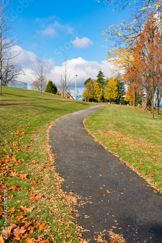 Sunny walk way across a park on autumn season in Canada