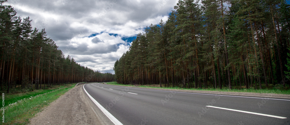 Naklejka premium the road leads into the distance