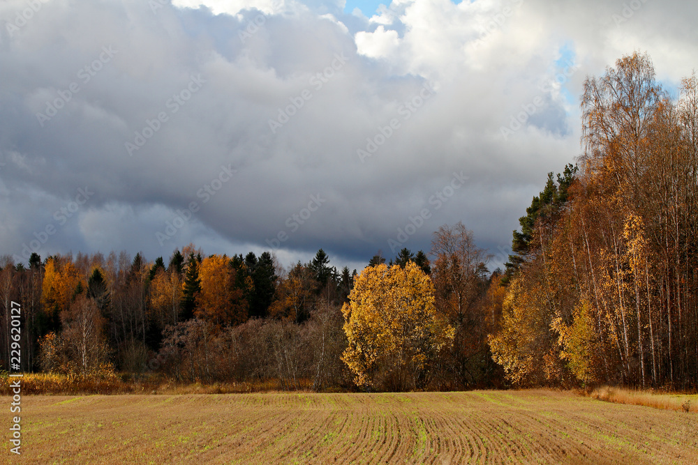 Rain clouds over the autumnal Finnish landscape. Last leaves are soon dropping down.