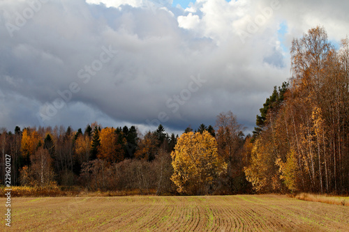 Rain clouds over the autumnal Finnish landscape. Last leaves are soon dropping down.