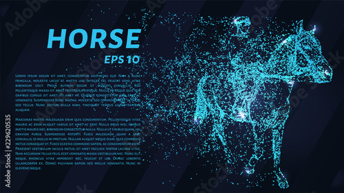The horse falls apart. Vector illustration. Rider on horseback.