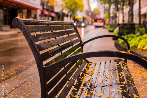 Rain covered bench on State Street in Madison, Wisconsin.