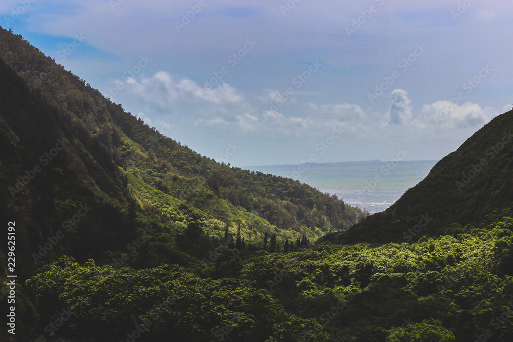 Fototapeta premium Iao Valley State Park
