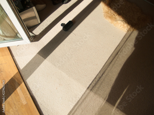 long shadows on bright carpet