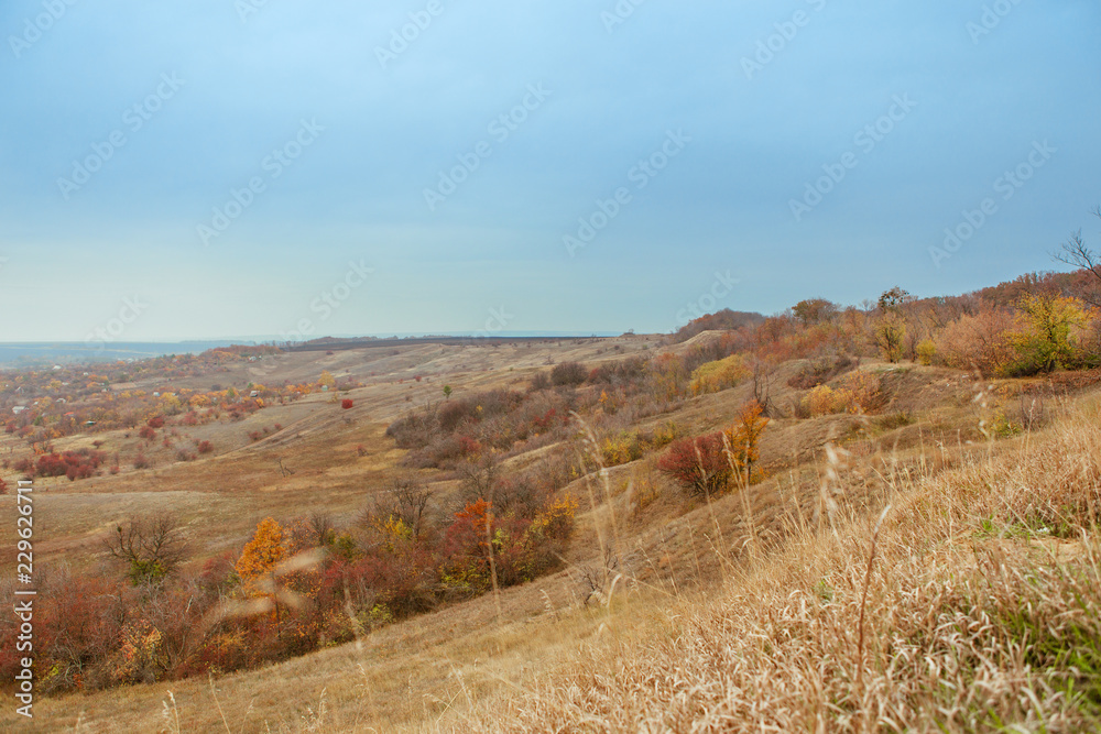 Bright and warm landscapes in the autumn. Hills, fields and trees