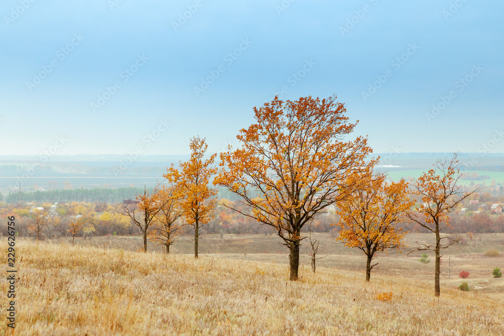 Bright and warm landscapes in the autumn. Hills, fields and trees Bright and warm landscapes in the autumn. Hills, fields and trees