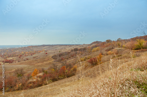Bright and warm landscapes in the autumn. Hills, fields and trees