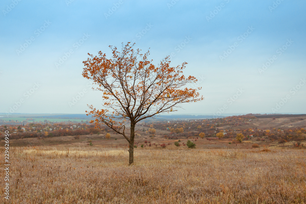 Bright and warm landscapes in the autumn. Hills, fields and trees Bright and warm landscapes in the autumn. Hills, fields and trees