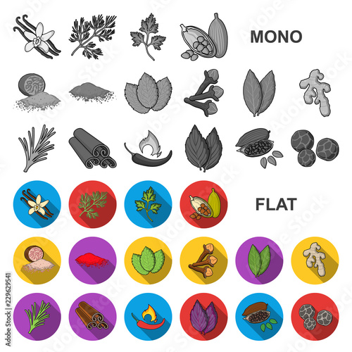 Herb and spices flat icons in set collection for design.Different kinds of seasonings vector symbol stock web illustration.