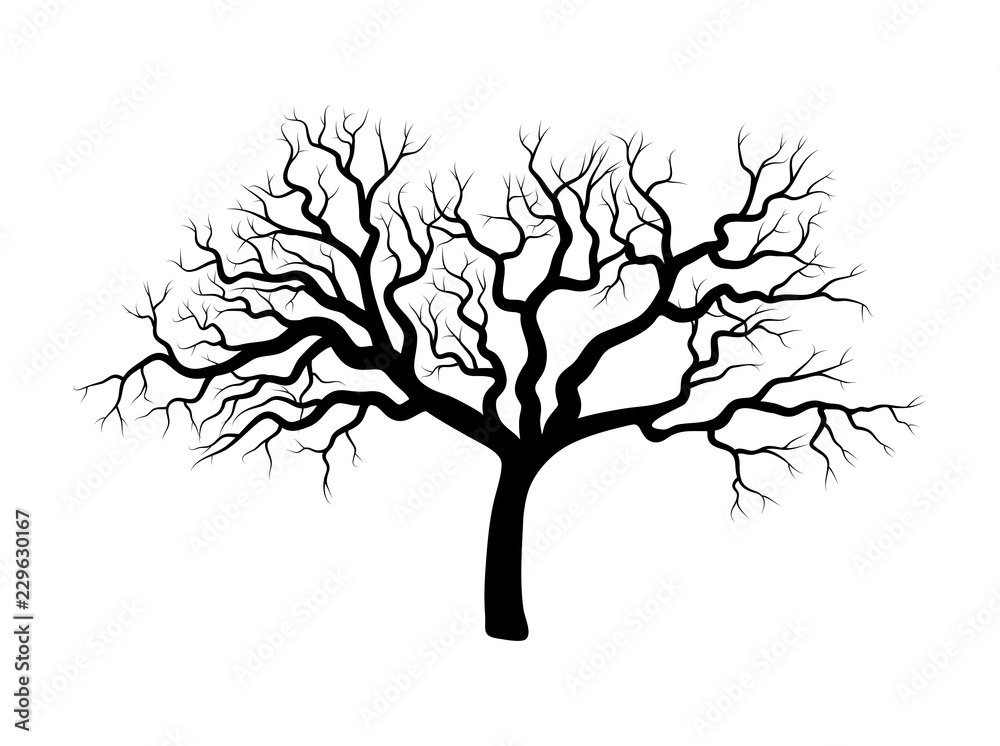Bare tree winter design isolated on white Vector Image