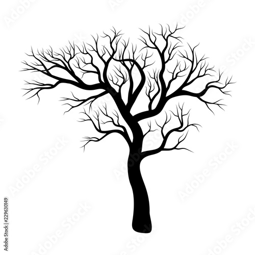 bare tree winter design isolated on white background
