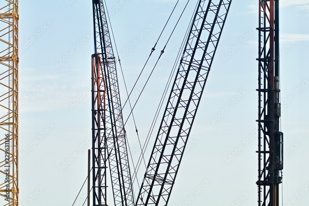 Cranes Against the Sky Cranes Against the Sky